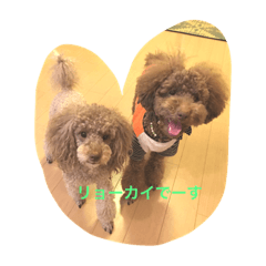 [LINEスタンプ] RKN1