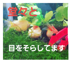 [LINEスタンプ] MAROONAQUARIUM