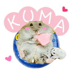 [LINEスタンプ] Kuma happy