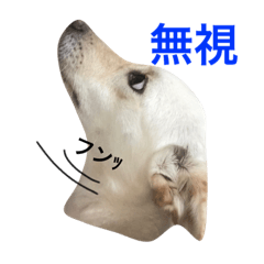 [LINEスタンプ] わんちゃんたち