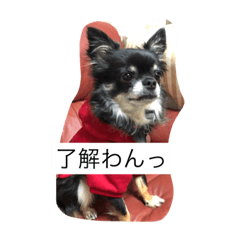 [LINEスタンプ] mamenosuke2