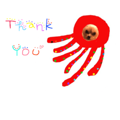 [LINEスタンプ] ケイシー犬