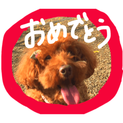 [LINEスタンプ] ころぽてスタンプ