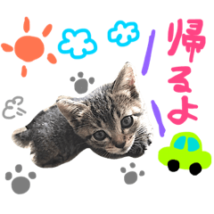 [LINEスタンプ] aduki4