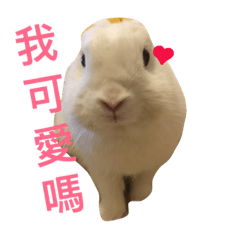 [LINEスタンプ] coolcool