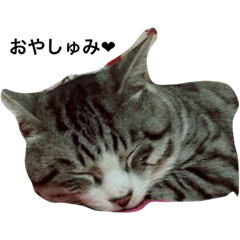 [LINEスタンプ] ころころしょこばに