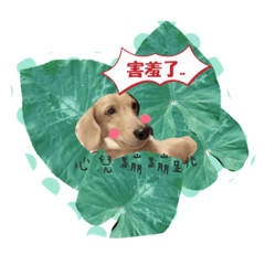 [LINEスタンプ] Dachshund happy dance Puppy