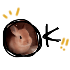 [LINEスタンプ] うさぎのララさん3