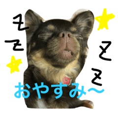 [LINEスタンプ] GRAN stamp1