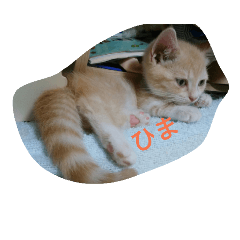 [LINEスタンプ] Luna stamp 2