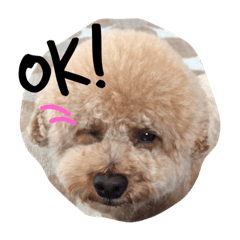 [LINEスタンプ] まんまるぽん太と妹のん2
