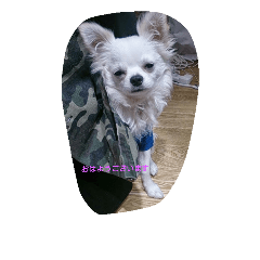 [LINEスタンプ] kintokilove