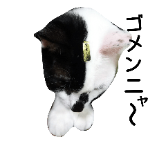 [LINEスタンプ] totomomoyuta