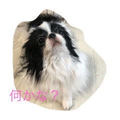 [LINEスタンプ] 綱吉くん