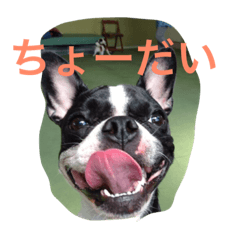[LINEスタンプ] MERU＆URI