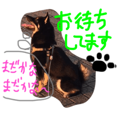 [LINEスタンプ] KUROSHIBA KYU2
