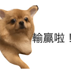 [LINEスタンプ] Dogg123