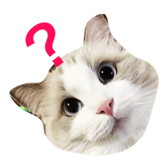 [LINEスタンプ] のんのスタンプ