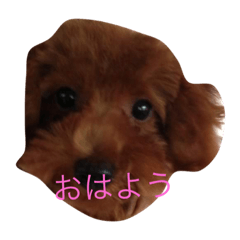 [LINEスタンプ] よもぎスタンプ