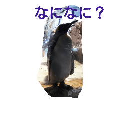 [LINEスタンプ] 動物園の可愛い動物スタンプ
