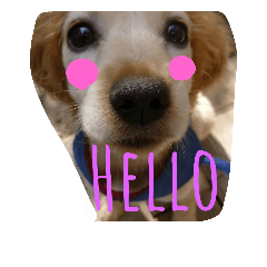 [LINEスタンプ] ミロ