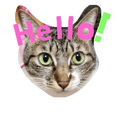 [LINEスタンプ] cat.cat.2