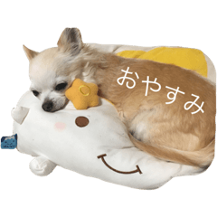 [LINEスタンプ] 高倉家に住むベリープリティなマリンちゃん