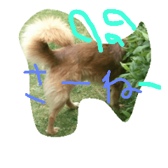 [LINEスタンプ] 身近にいそうな ねこといぬ