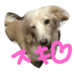 [LINEスタンプ] サリーの日常