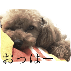 [LINEスタンプ] まいにちるいくん