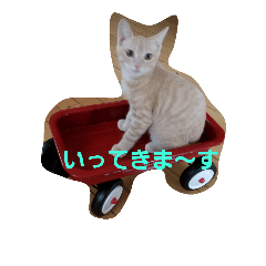 [LINEスタンプ] なっつあんどろっく