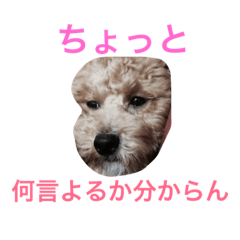 [LINEスタンプ] 麟劉