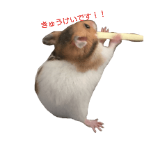 [LINEスタンプ] てんてんごんの日常