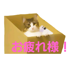 [LINEスタンプ] Jasmin cat Part2