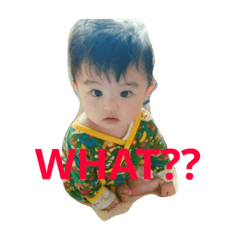 [LINEスタンプ] baby tanuki