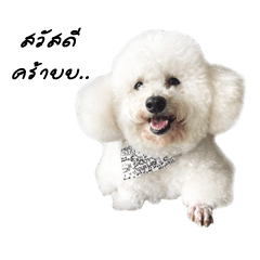 [LINEスタンプ] Jacky crazy