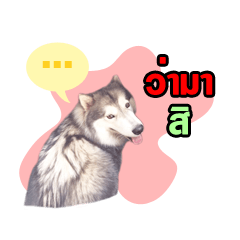 [LINEスタンプ] FooFoohusky