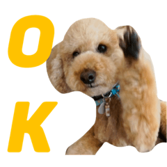 [LINEスタンプ] 4本足のお友だち さぶろう