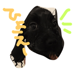 [LINEスタンプ] ぽんさん3