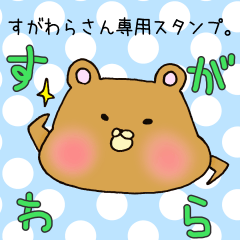 [LINEスタンプ] すがわらさん専用スタンプの画像（メイン）