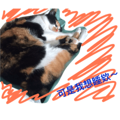[LINEスタンプ] the three colors cats and little cats