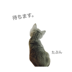 [LINEスタンプ] うちの子ご