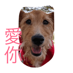 [LINEスタンプ] go.