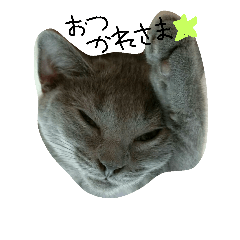 [LINEスタンプ] nyankonyannyan