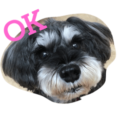 [LINEスタンプ] まりもと愉快な仲間たち