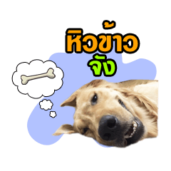 [LINEスタンプ] jedi the dog