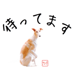 [LINEスタンプ] ちっぽけボルゾイ、きな子。