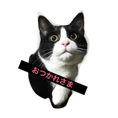 [LINEスタンプ] ミミルカ