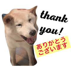 [LINEスタンプ] Funaking dogs