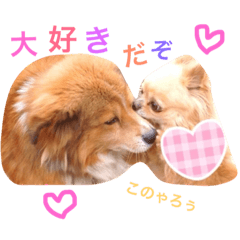 [LINEスタンプ] ラブ ペット